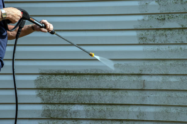 Best Residential Pressure Washing in Browns Lake, WI